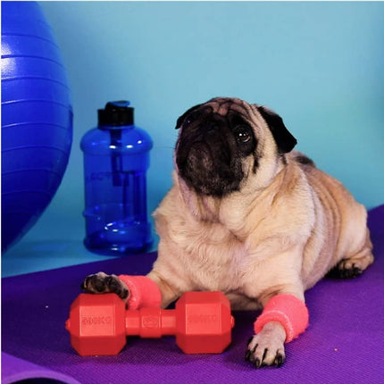 Ziggy Pupps Dog Interactive Rubber Bone Dumbbell for Dogs Tough Dental Chew Toy