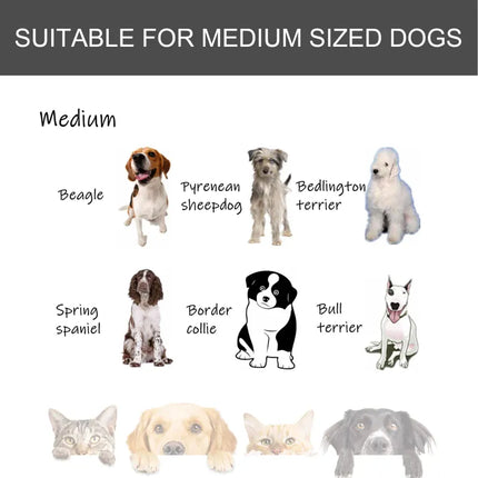 Ziggy Pupps Dog Metal Dog Cage Kennel Locking Door And Wheels Removable Tray Openable Top For Medium Pets 94 x 58 x 69.5 cm