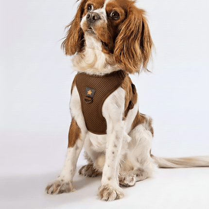 Ziggy Pupps Dog Pawstar 2XS Neon brown Air Mesh Dog Harness 24 to 28cm