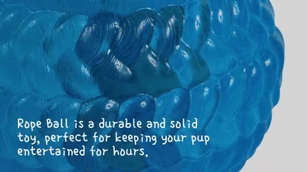 Ziggy Pupps Dog Petface Toyz Durable Rope Ball for Dogs