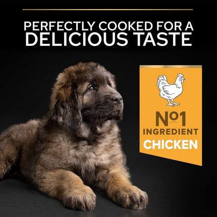 Ziggy Pupps Dog Purina Pro Plan Healthy Dry Food with Chicken for Dogs Up to 2 Years 12 kg