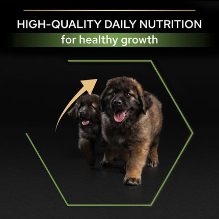 Ziggy Pupps Dog Purina Pro Plan Healthy Dry Food with Chicken for Dogs Up to 2 Years 12 kg