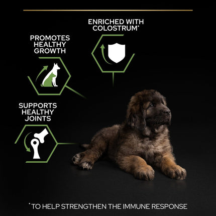Ziggy Pupps Dog Purina Pro Plan Healthy Dry Food with Chicken for Dogs Up to 2 Years 12 kg