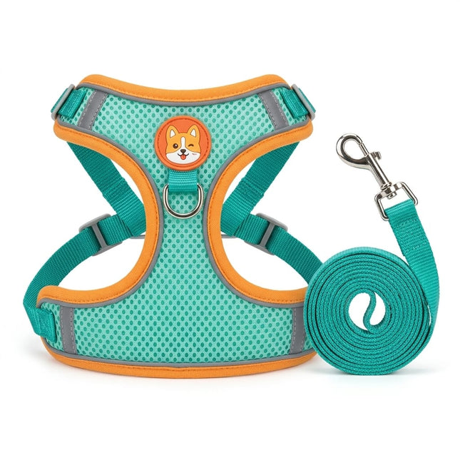 Ziggy Pupps Dog Reflective Mesh Dog Harness and Leash Set Breathable No-Pull Chest Vest with Leash Size Large Turquoise