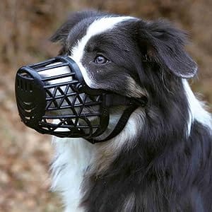 Ziggy Pupps Dog Safety Dog Muzzle Anti Chewing Training Muzzle with Adjustable Strap Size Medium