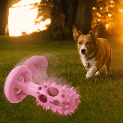 Ziggy Pupps Dog Soleil Pink Spike Rod Shaped Pet Chew Toy