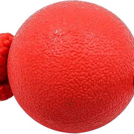 Ziggy Pupps Dog Solid Rubber Ball Dog Toy with Durable Throwing Rope