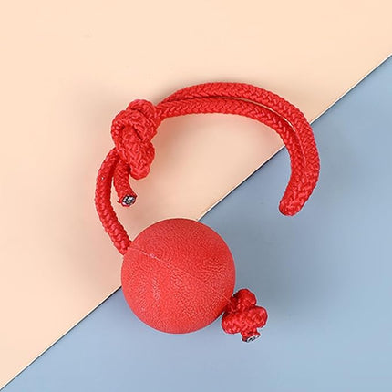 Ziggy Pupps Dog Solid Rubber Ball Dog Toy with Durable Throwing Rope