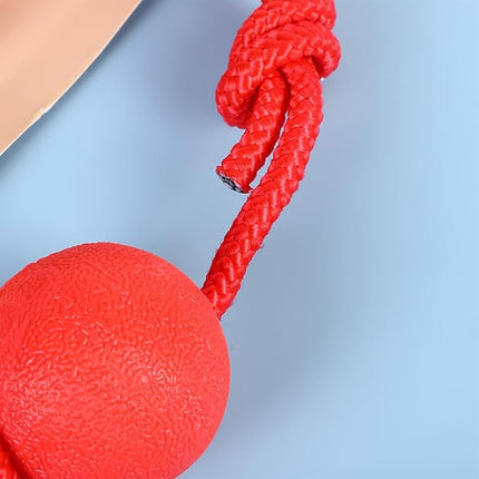Ziggy Pupps Dog Solid Rubber Ball Dog Toy with Durable Throwing Rope