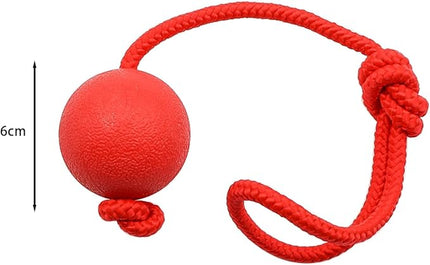 Ziggy Pupps Dog Solid Rubber Ball Dog Toy with Durable Throwing Rope