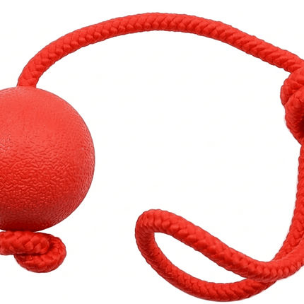 Ziggy Pupps Dog Solid Rubber Ball Dog Toy with Durable Throwing Rope