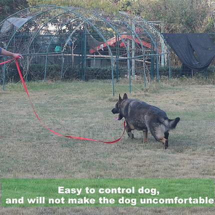 Ziggy Pupps Dog Strong Durable Nylon Dog Training Leash for Medium and Large Dog 320 Cm Military Green