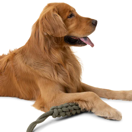 Ziggy Pupps Dog Wolf Republic Rope Toss Toy Heavy Duty Cotton Tug Toy for Dogs