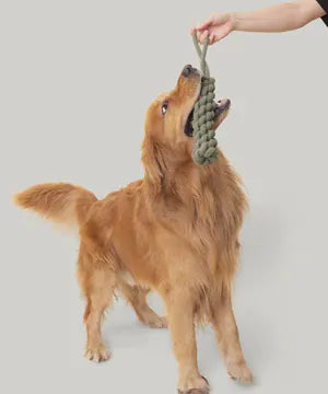 Ziggy Pupps Dog Wolf Republic Rope Toss Toy Heavy Duty Cotton Tug Toy for Dogs