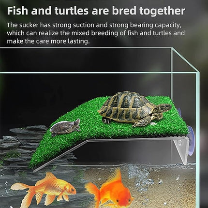 Ziggy Pupps Fish Artificial Turf Reptile Basking Platform and Ramp