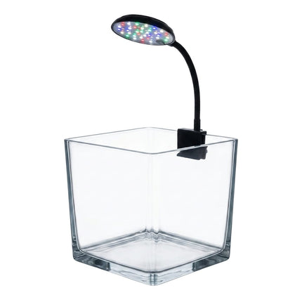 Ziggy Pupps Fish Clear Square Glass Fish Tank Mini Desktop Aquarium with Clip-on Color LED Lighting System