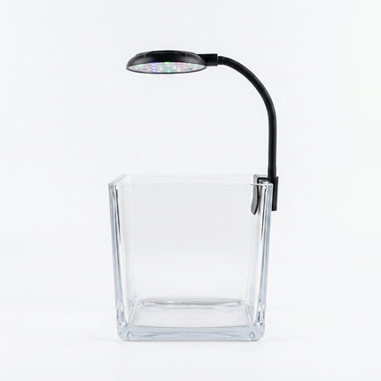 Ziggy Pupps Fish Clear Square Glass Fish Tank Mini Desktop Aquarium with Clip-on Color LED Lighting System