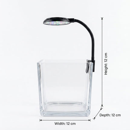 Ziggy Pupps Fish Clear Square Glass Fish Tank Mini Desktop Aquarium with Clip-on Color LED Lighting System