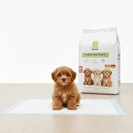 Ziggy Pupps Nunbell TRAINING PADS 60*90  50PADS