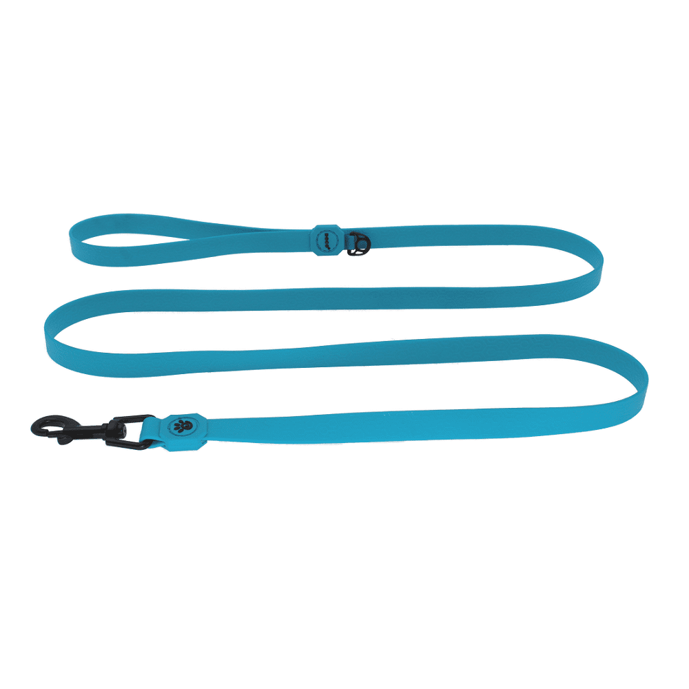 Doco Medium turquoise Antibacterial Dog Leash 180 in 2 cm