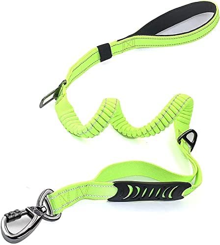 Nunbell Pet Leash Training &amp;amp; Sample Large