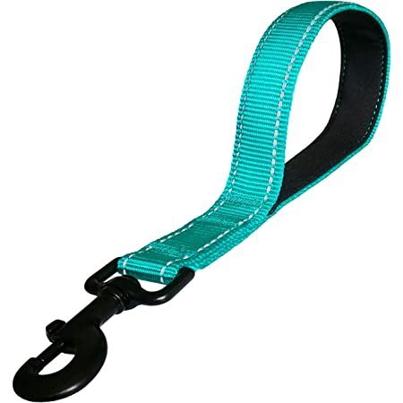 Nunbell Pet Leash Training &amp;amp; Sample Small