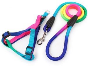 leash with harness  multi colors  L