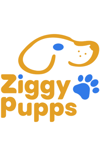 Ziggy Pupps