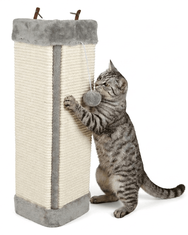 ZooFari Cat Zoofari Wall Mountable Cat Scratching Board Protective Corner Scratcher 60 cm x 32 cm x 2.2 cm