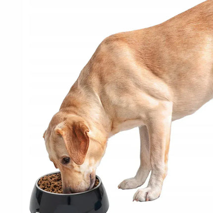 ZooFari Dog and cat Zoofari food or water bowl blue 2 approx 160 ml blue