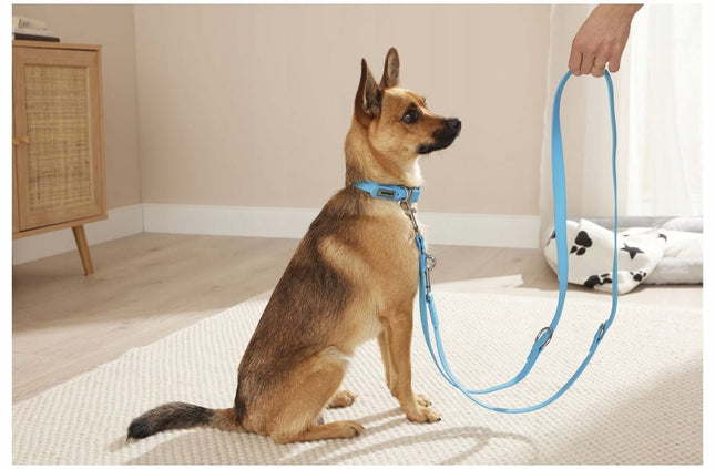 ZooFari Dog Zoofari Adjustable Dog Leash and Collar Set Light Blue Multi-Way Training Leash Small
