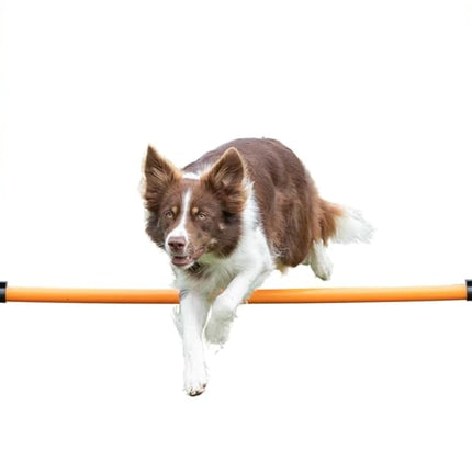 ZooFari Dog Zoofari Agility Hurdle 110 in 116 Cm 5 Pcs