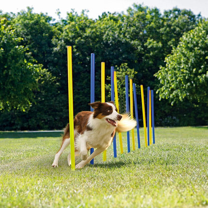 ZooFari Dog Zoofari Agility Hurdle 112 in 0.3 Cm 6 Pcs