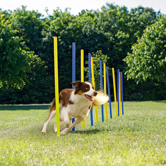 ZooFari Dog Zoofari Agility Hurdle 112 in 0.3 Cm 6 Pcs