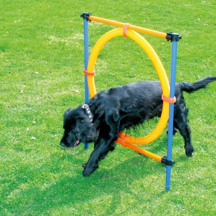 ZooFari Dog Zoofari Agility Hurdle 113 in 0.3 Cm 9 Pcs