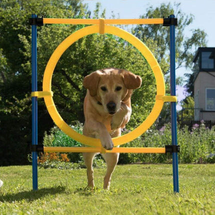 ZooFari Dog Zoofari Agility Hurdle 113 in 0.3 Cm 9 Pcs