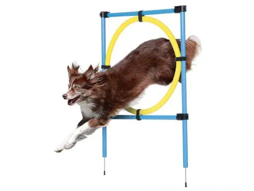 ZooFari Dog Zoofari Agility Hurdle 113 in 0.3 Cm 9 Pcs