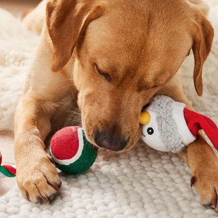 ZooFari Dog Zoofari Christmas Snowman Dog Toy  Festive Cotton Rope with Tennis Ball