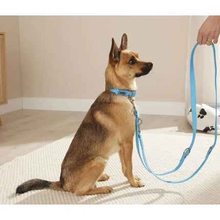 ZooFari Dog Zoofari dog collar and leash
