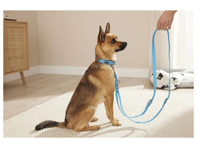 ZooFari Dog Zoofari dog collar and leash