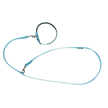 ZooFari Dog Zoofari dog collar and leash