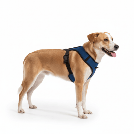 ZooFari Dog Zoofari Dog Harness Soft Harness M Blue  approx 36- 54.4 cm