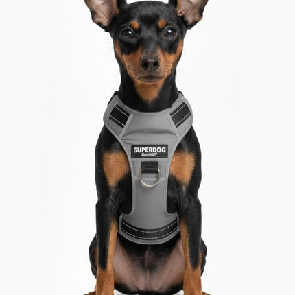 ZooFari Dog Zoofari dog harness XS approx 30 - 39 cm grey