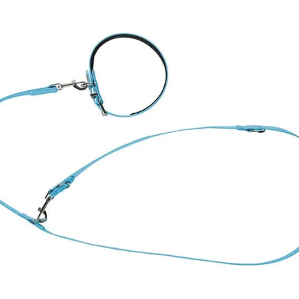 ZooFari Dog Zoofari Dog Leash And Collar Size Large