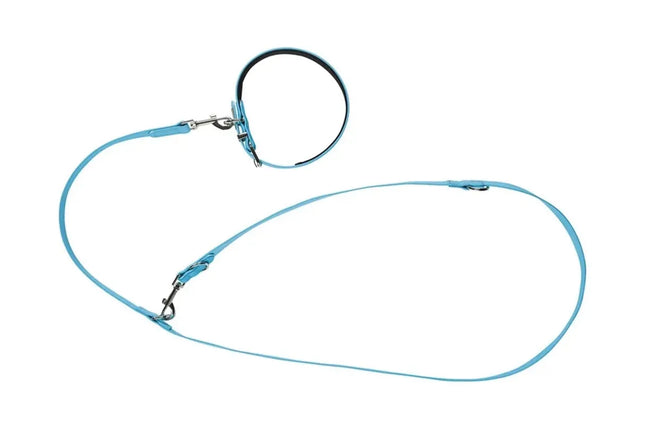 ZooFari Dog Zoofari Dog Leash And Collar Size Large