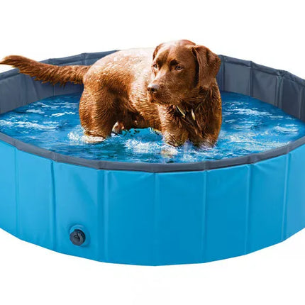 Zoofari Dog Zoofari Dog  Swimming Pool