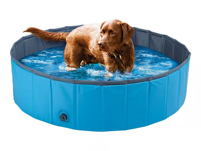Zoofari Dog Zoofari Dog  Swimming Pool