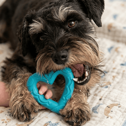 Zoofari Dog Zoofari Minis Soft Heart Dog Toy for Puppies