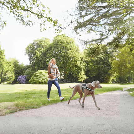 مقود دوكو صغير باللونين الأسود والرمادي عاكس وقابل للسحب بطول 4 أمتار للكلاب التي يصل وزنها إلى 10 كجم