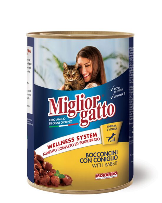 Miglior-gatto with rabbit